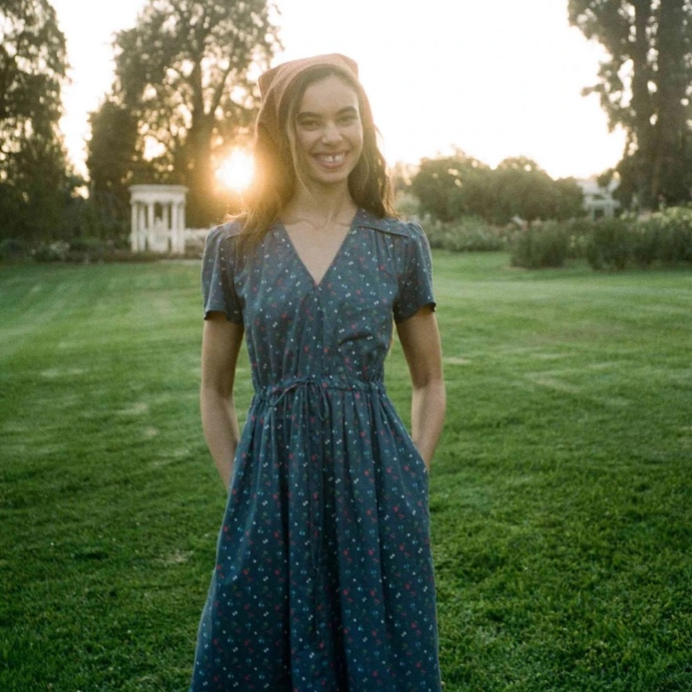 Christy Dawn | The Dawn Dress | Lapis Aster Garden | Petite Large | NWT